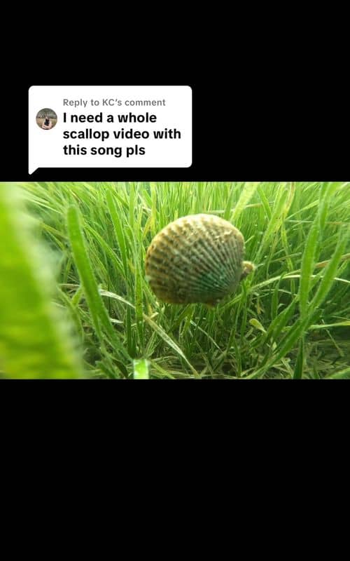 Social content