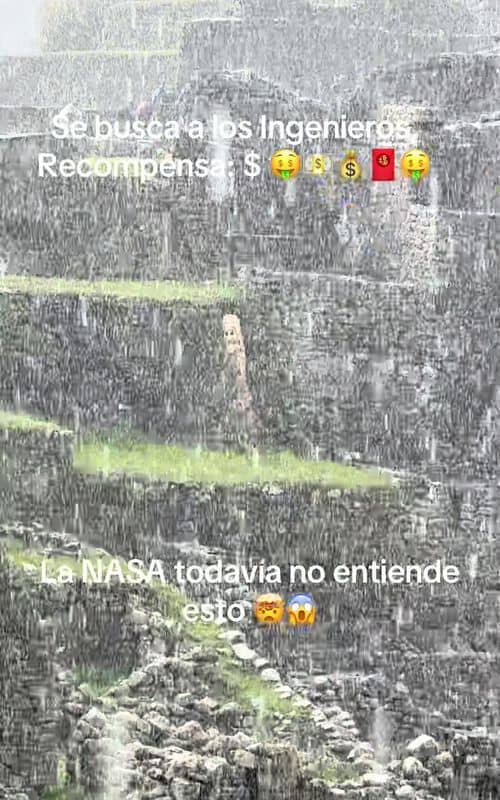 Social content