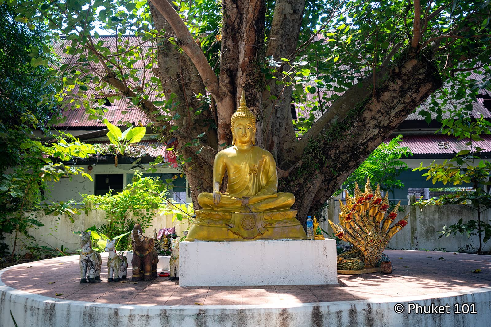 Secluded Mountain Shrine