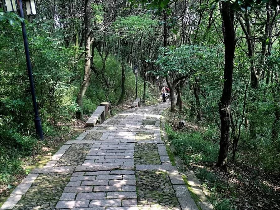 Scenic Hiking Trails