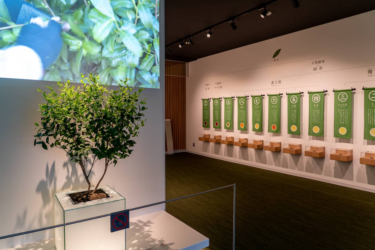 Uji Tea History Exhibits