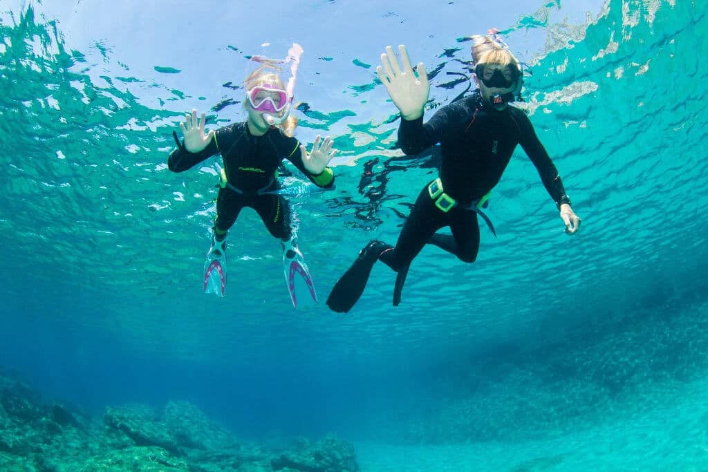 Vibrant Underwater Life