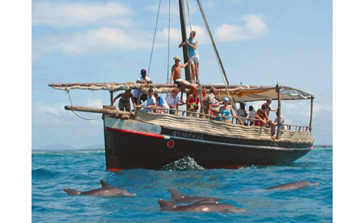 Traditional Dhow Safari