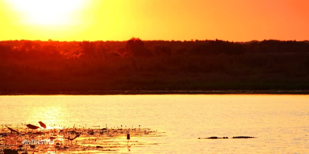 Stunning Top End Sunsets