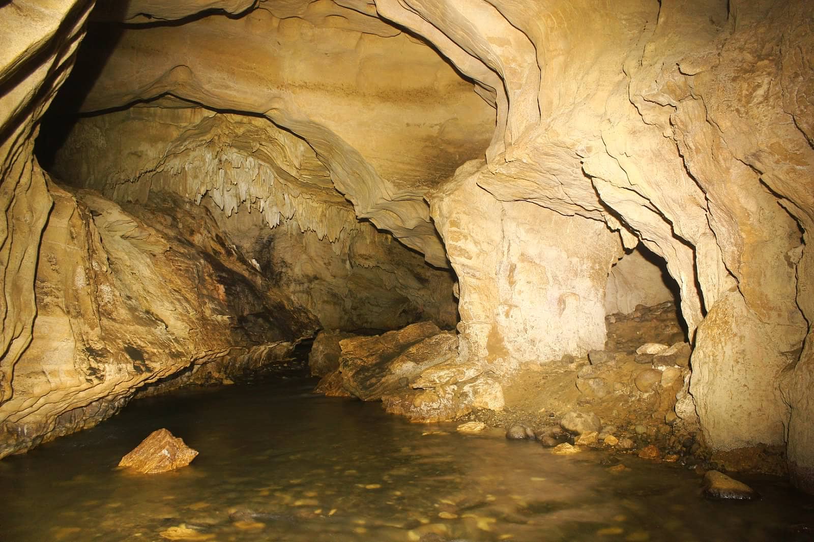The 'Birth Canal'