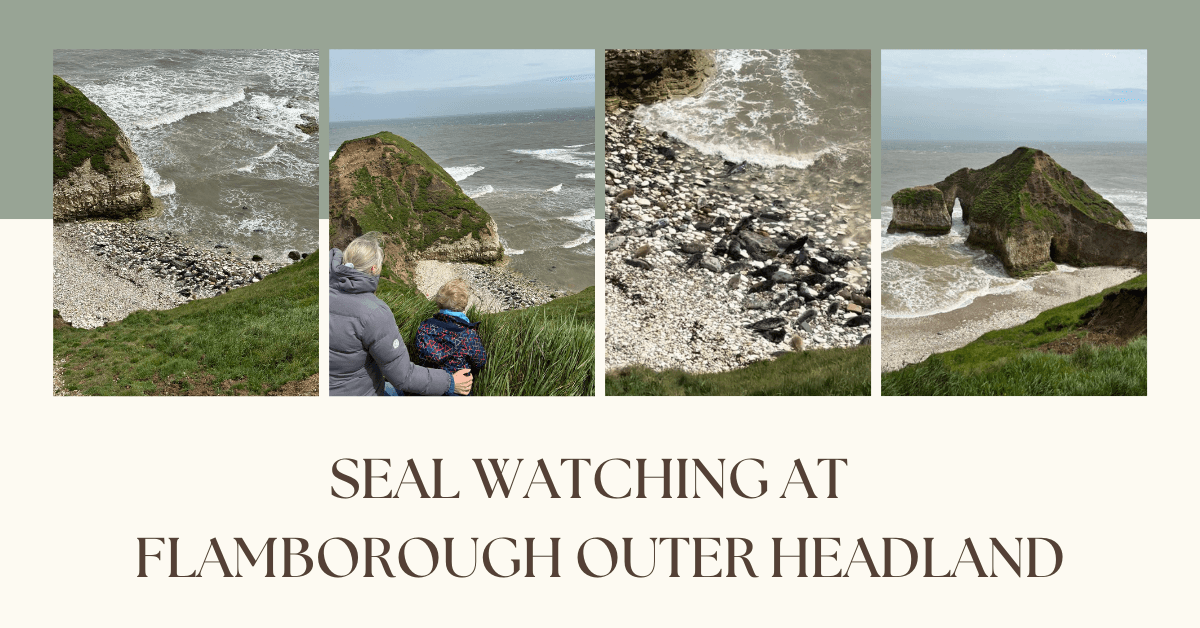 Seal Colonies