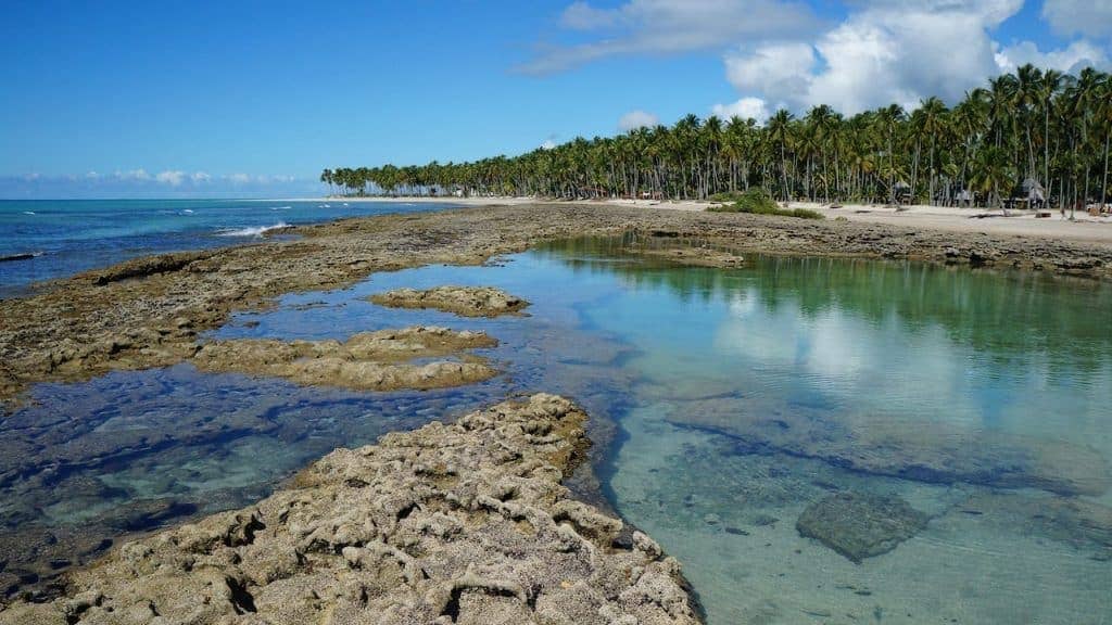 Natural Pools & Sandbanks