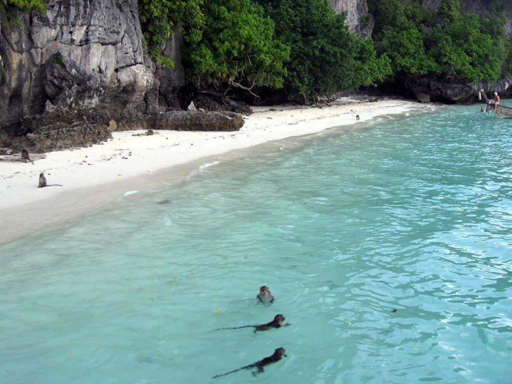 Crystal-Clear Waters