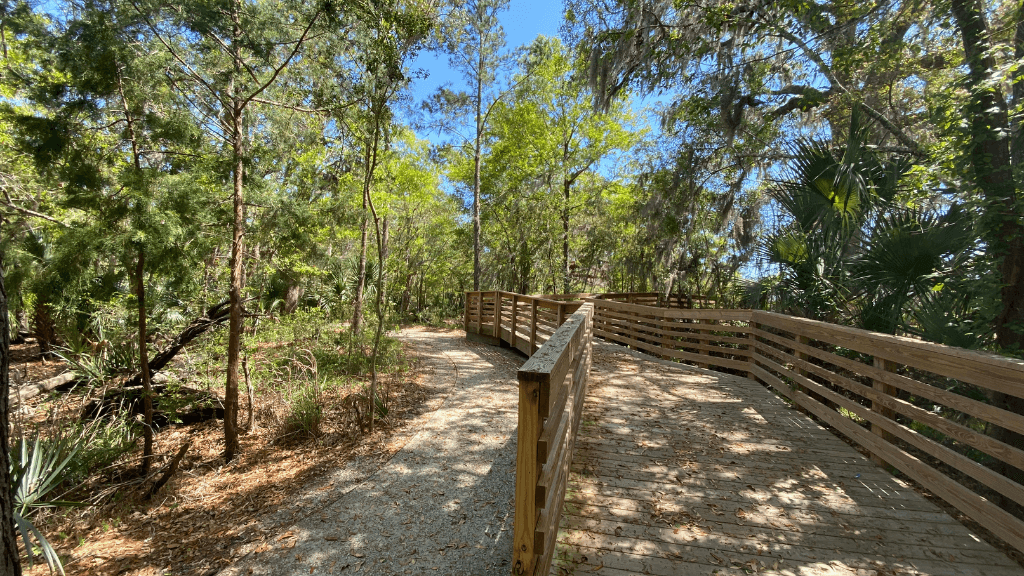 Maritime Forest Trails