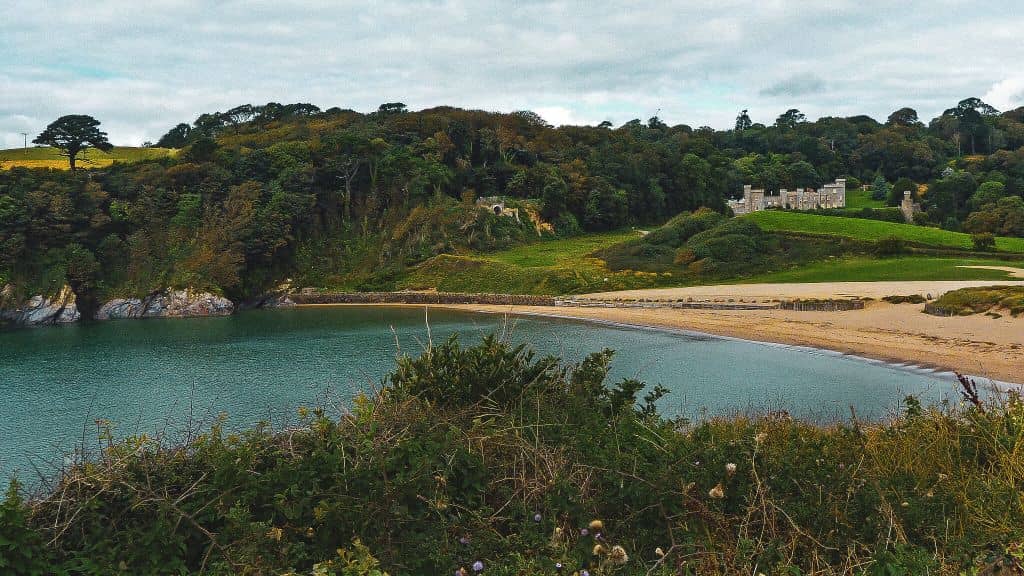 Caerhays Castle Backdrop
