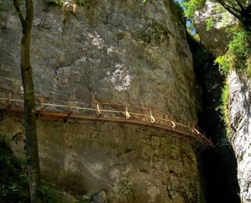Suspended Wooden Walkway