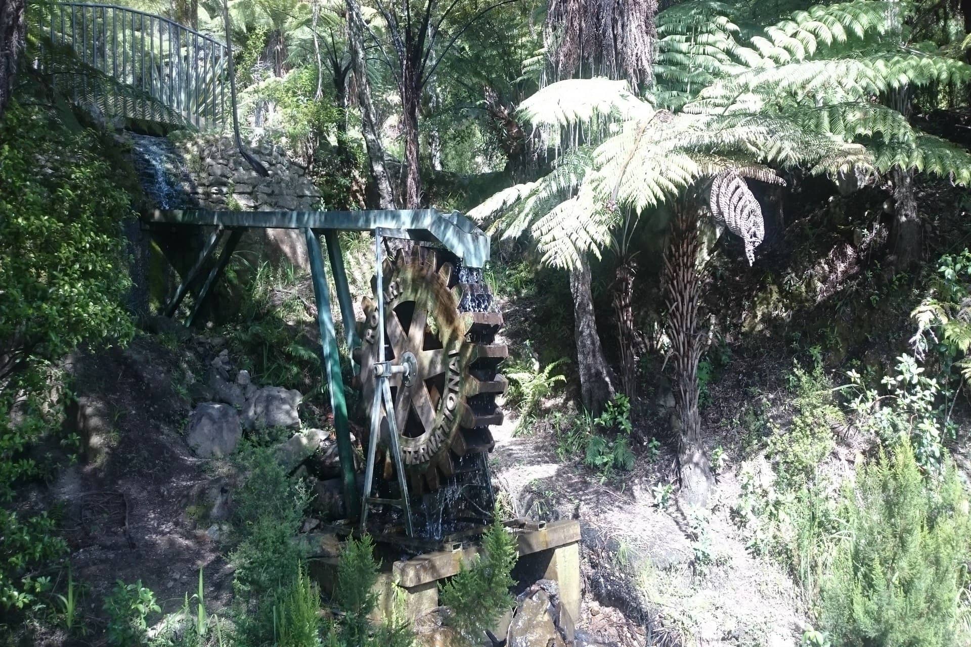 Lush Gardens & Water Features
