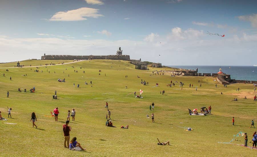 Kite Flying on the Lawn