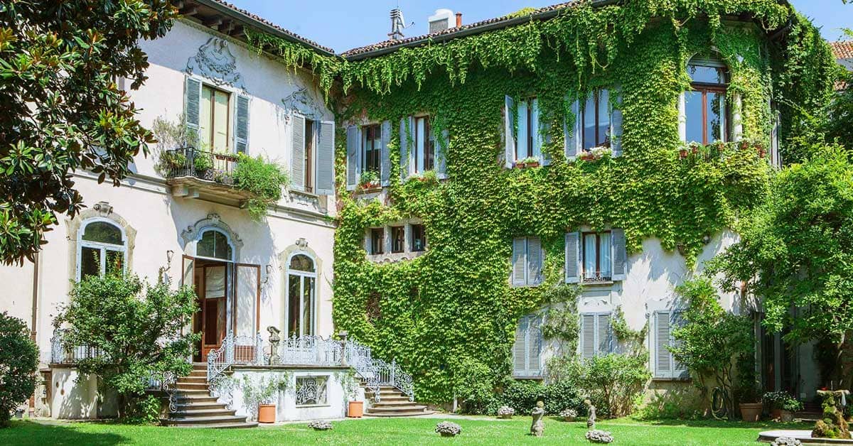 Leonardo da Vinci's Vineyard