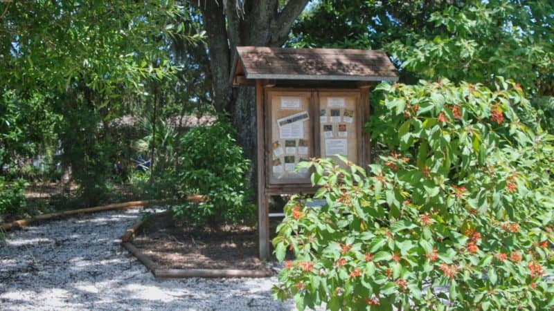 Butterfly Garden
