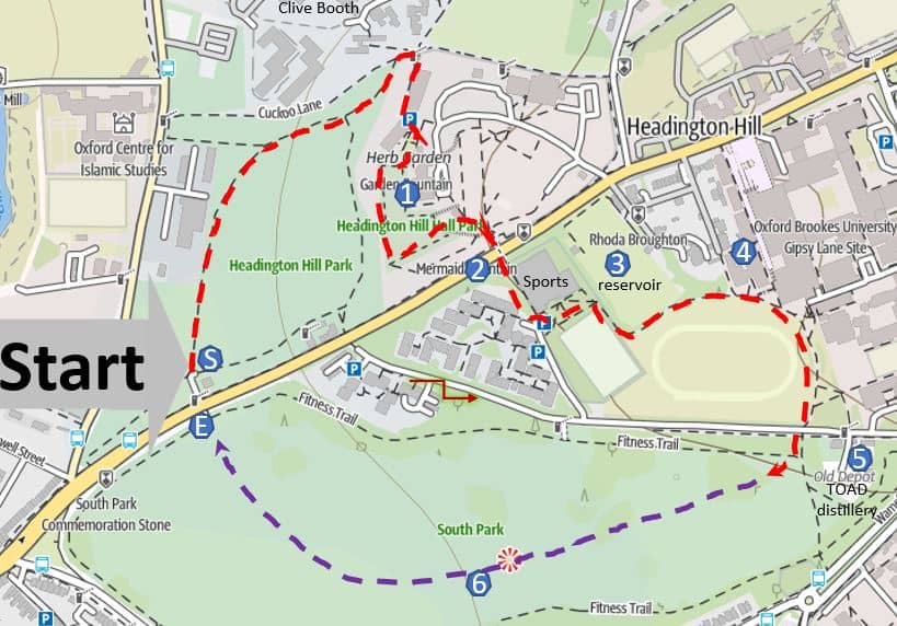 Scenic Walking Trails