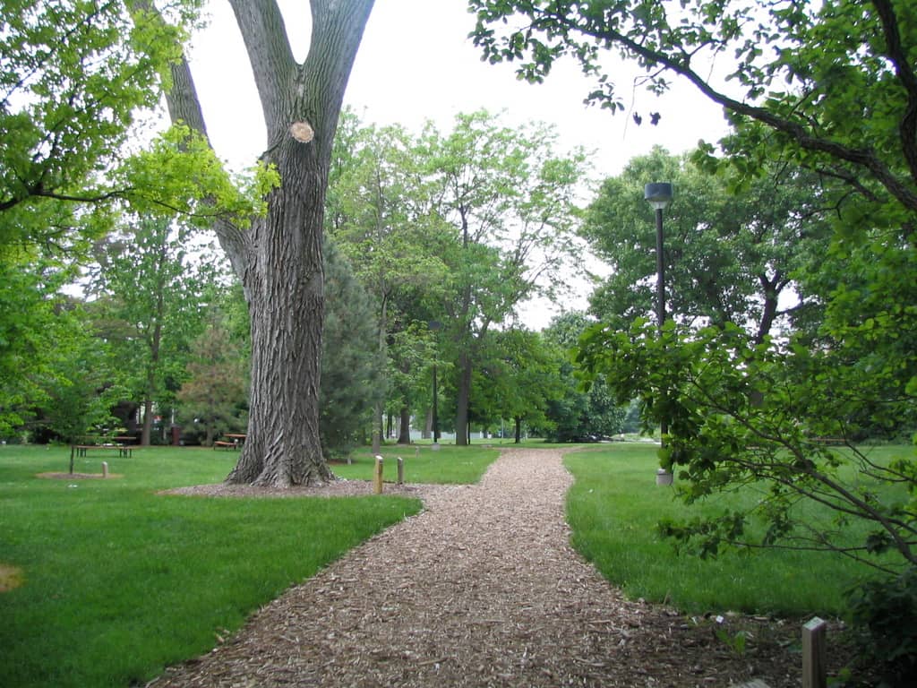 Shaded Walking Paths