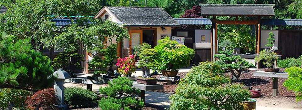 Lakeside Park Gardens