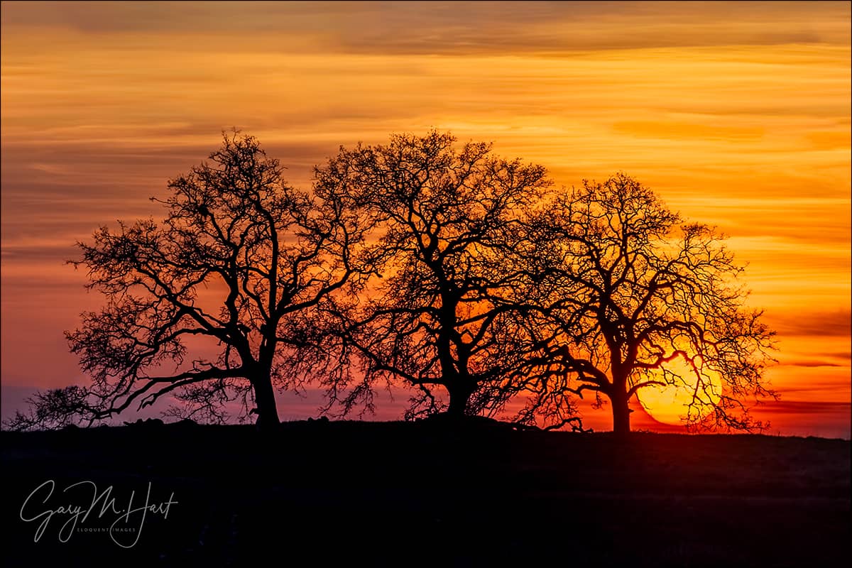 Sunrise/Sunset Spectacle
