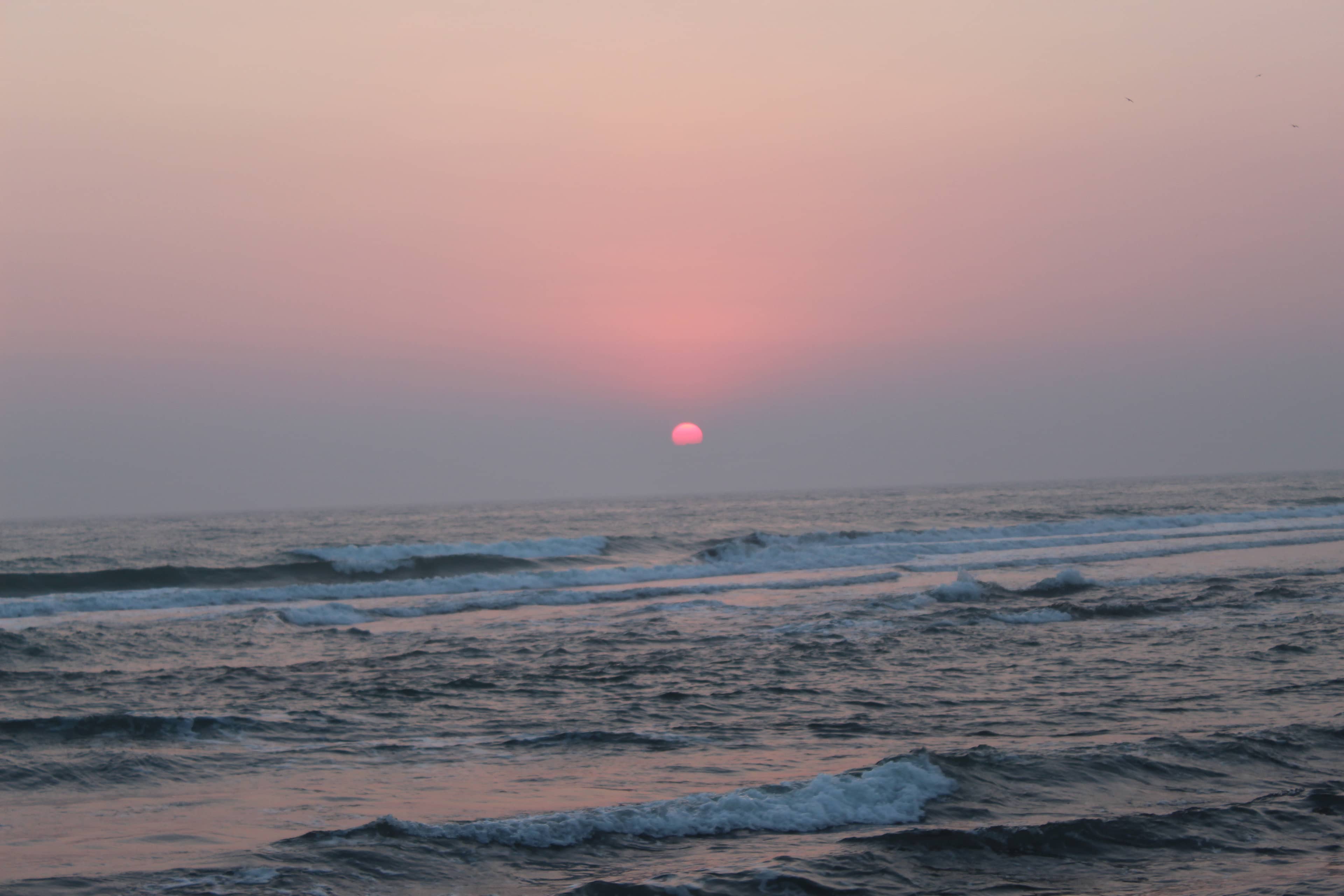 Local Beach Vibes