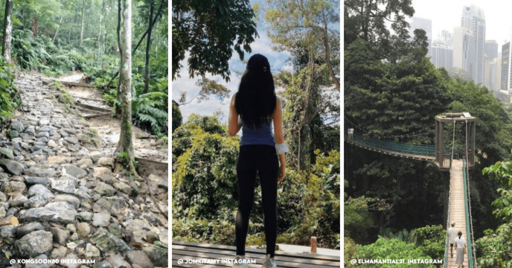 Nature Trails