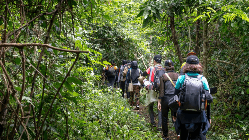 Jungle Trekking Trails