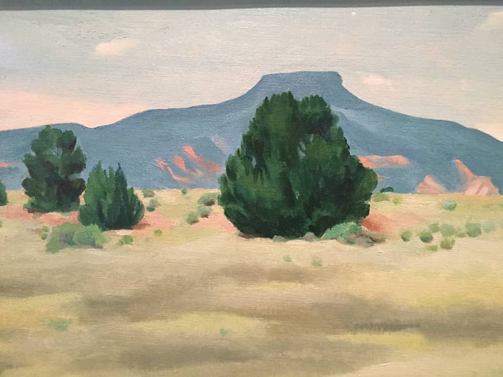 Panoramic Desert Views