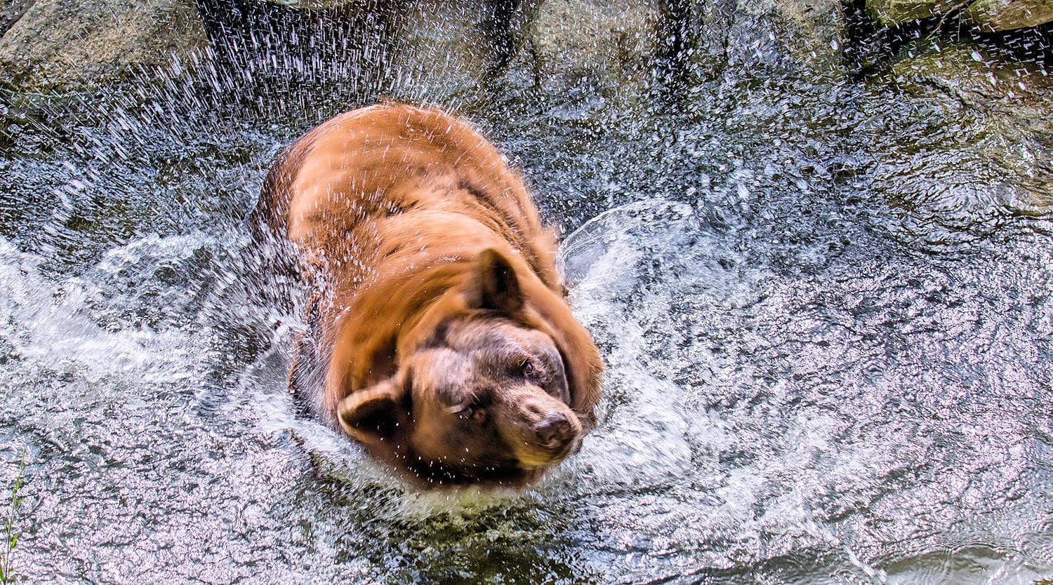 Animal Habitats & Nature Center
