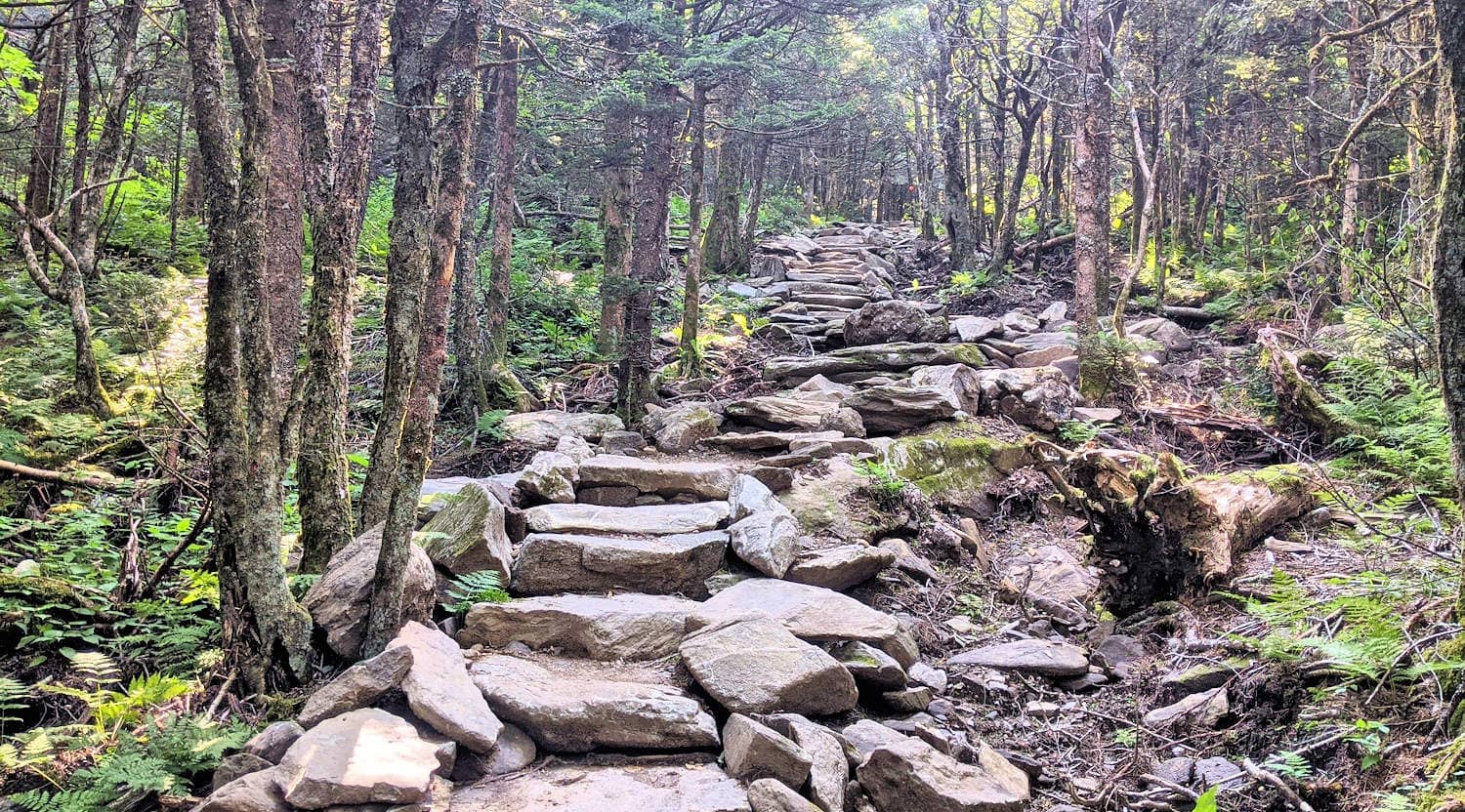 Profile Trail