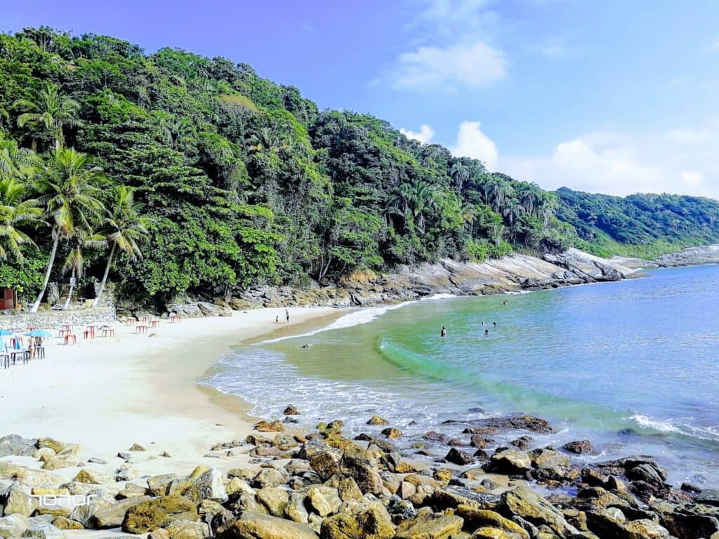 Shaded Sandy Cove