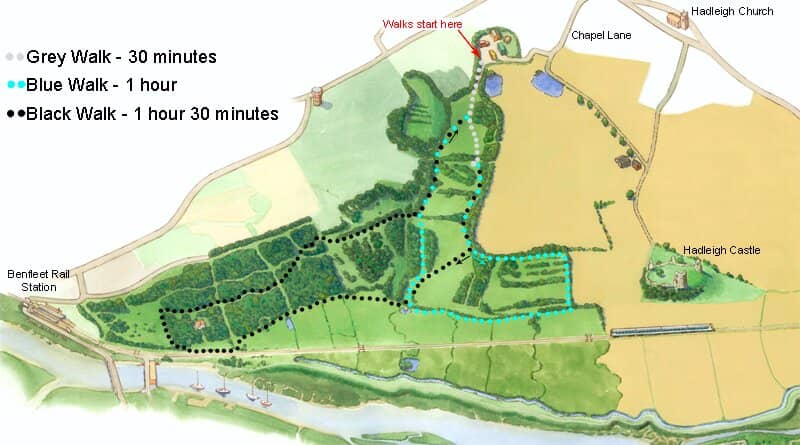 Scenic Walking Trails & Views