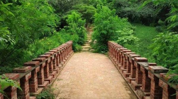 Peaceful Nature Walks