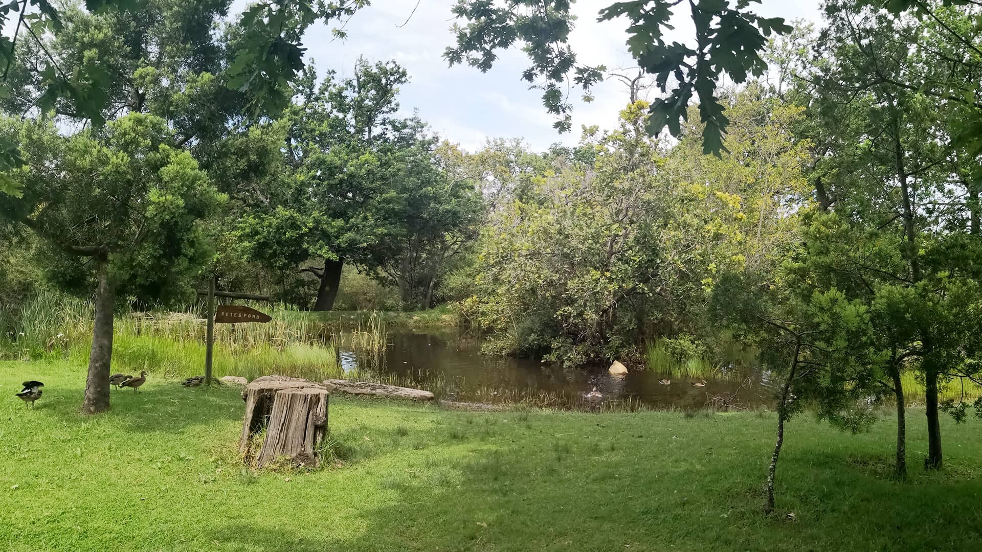 Peaceful Picnic Spots