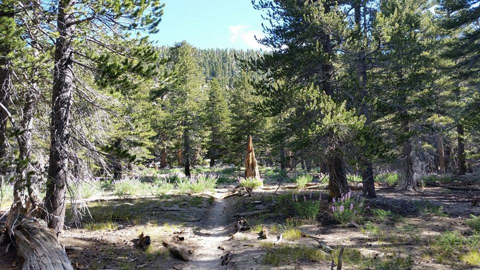 Little Round Valley Campground