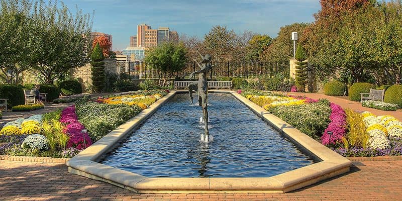 Peaceful Water Features