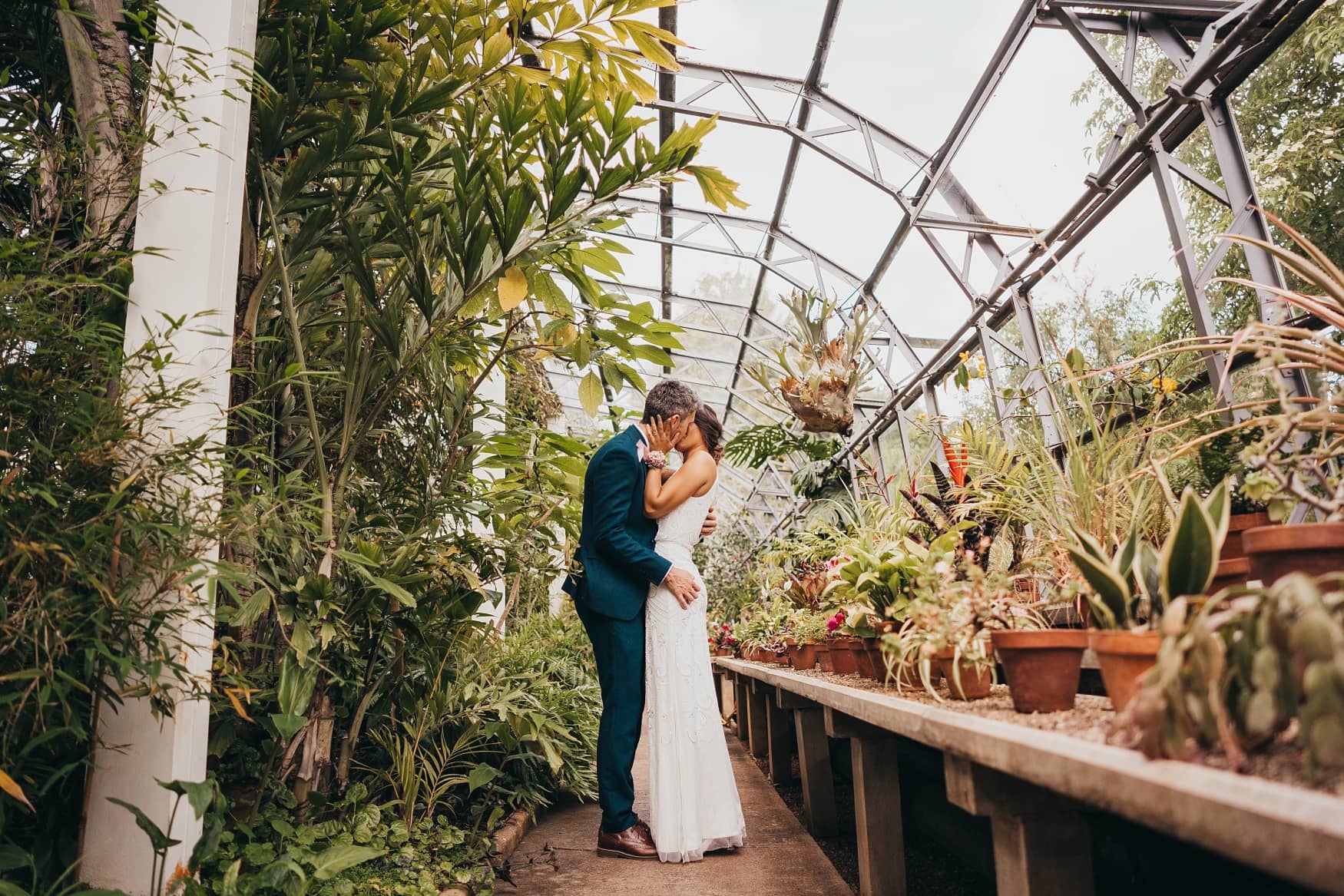 The Palm House