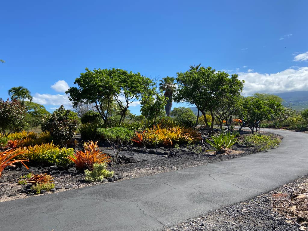 Community Gardens