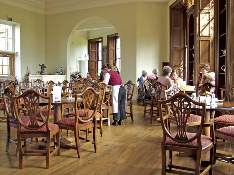 Earl Grey Tea Room