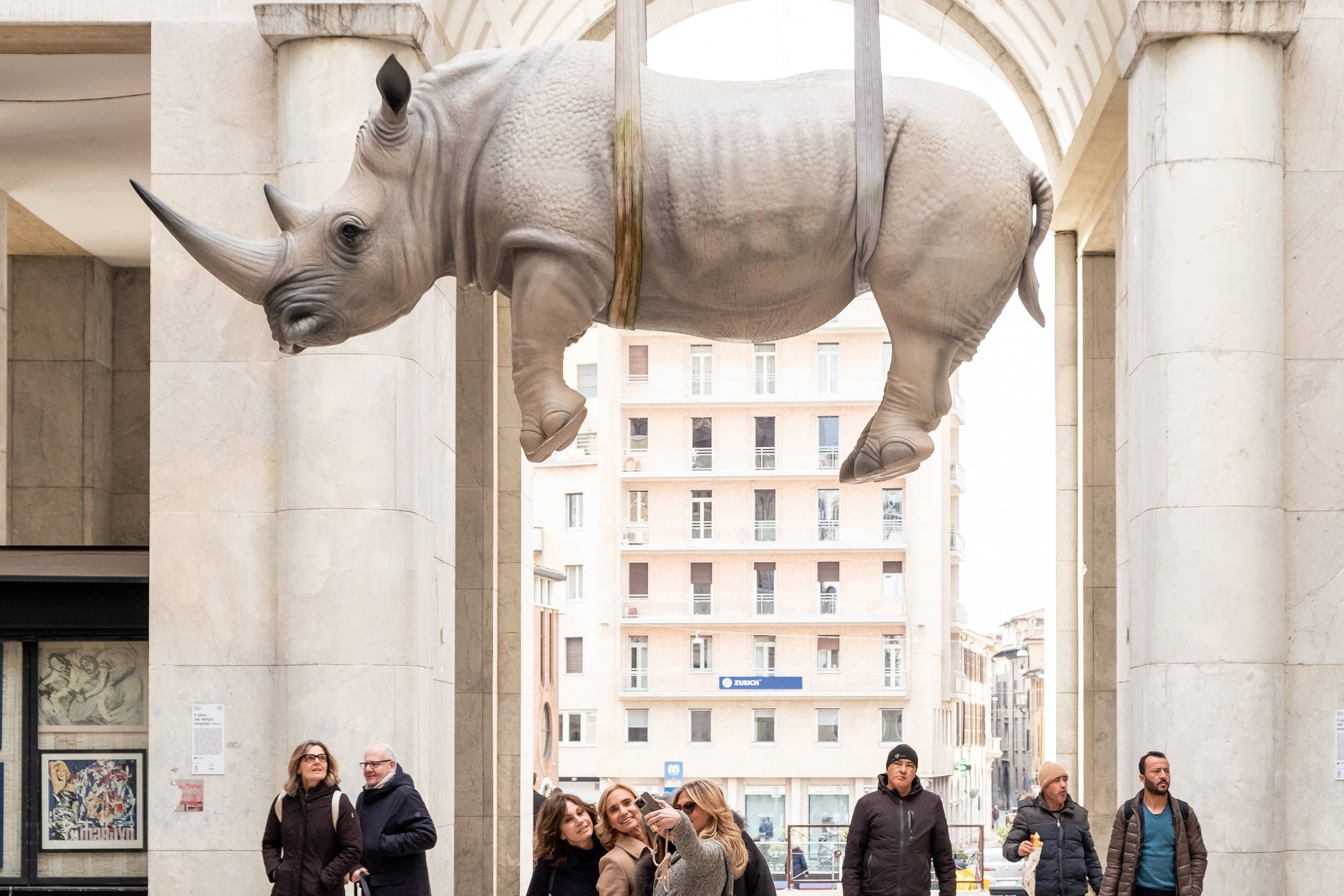 Hidden Rhinoceros Carving