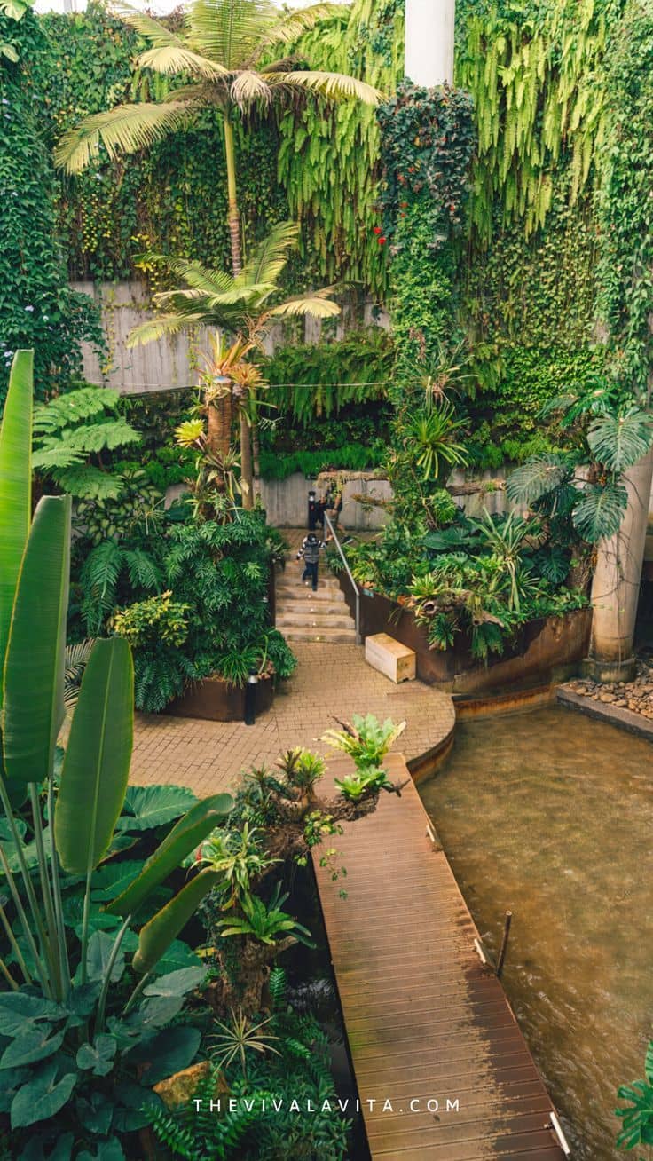 Orchidarium Estepona