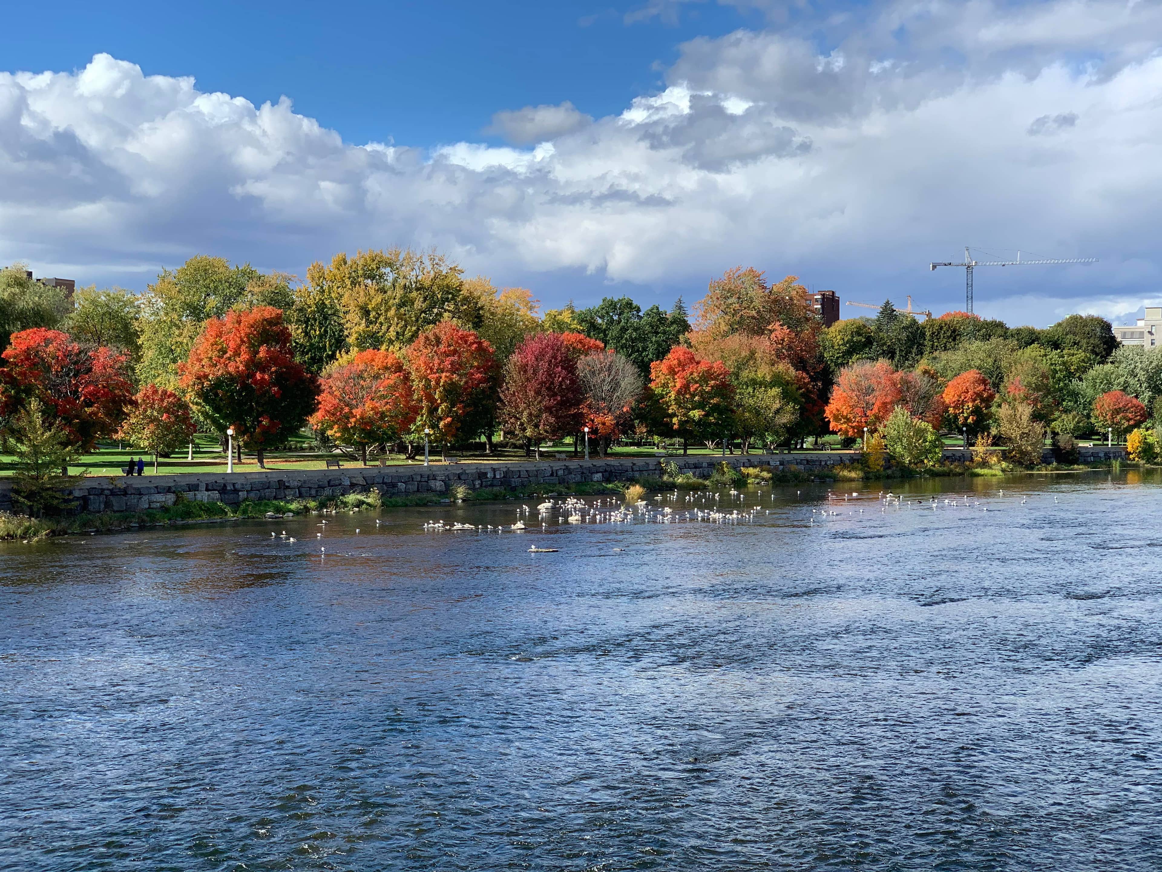 Autumn's Fiery Display