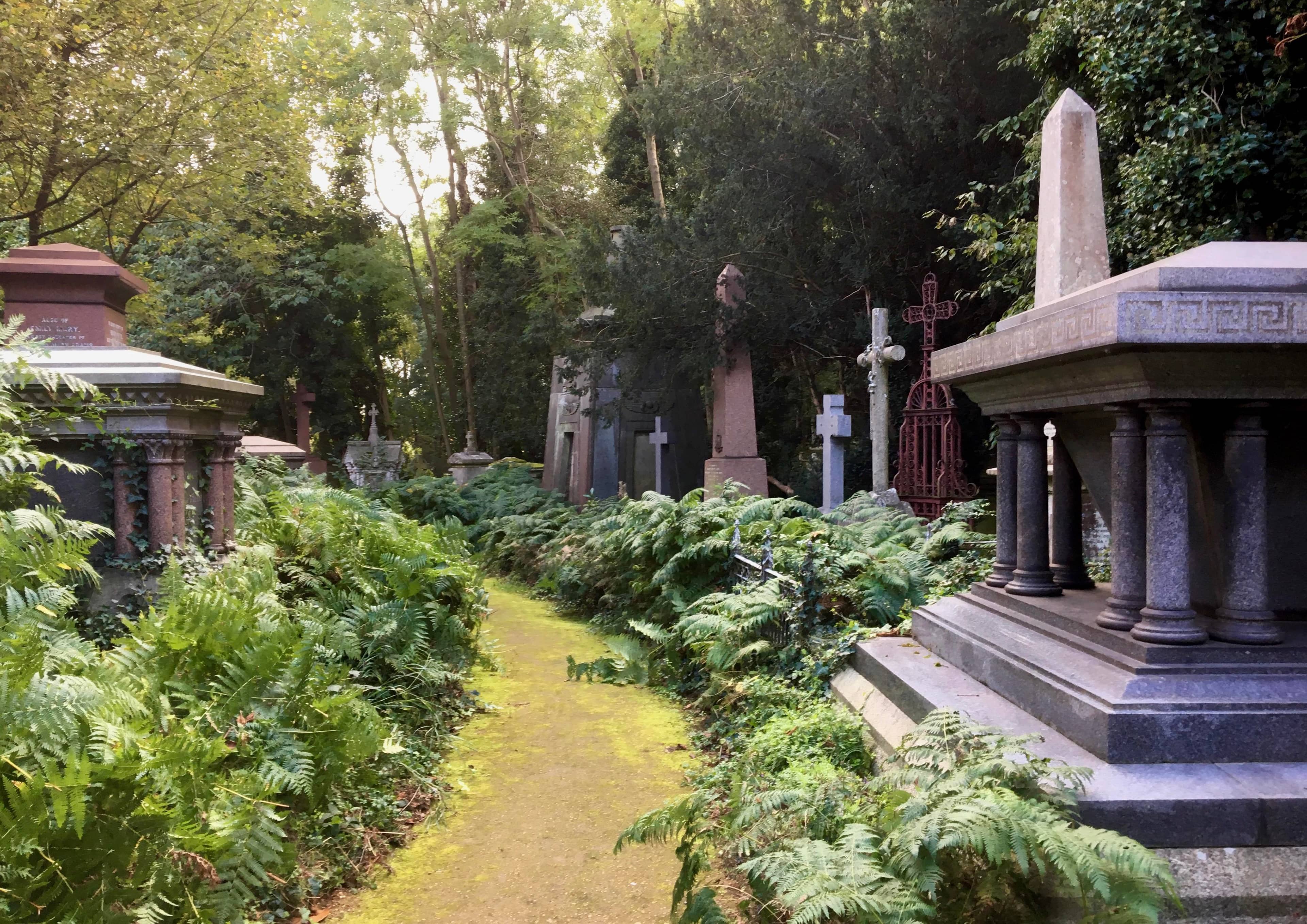 Serpentine Pathways