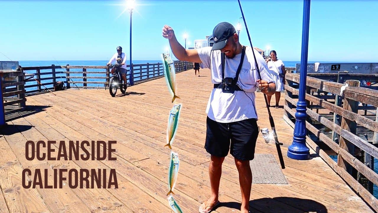 Fishing and Marine Life