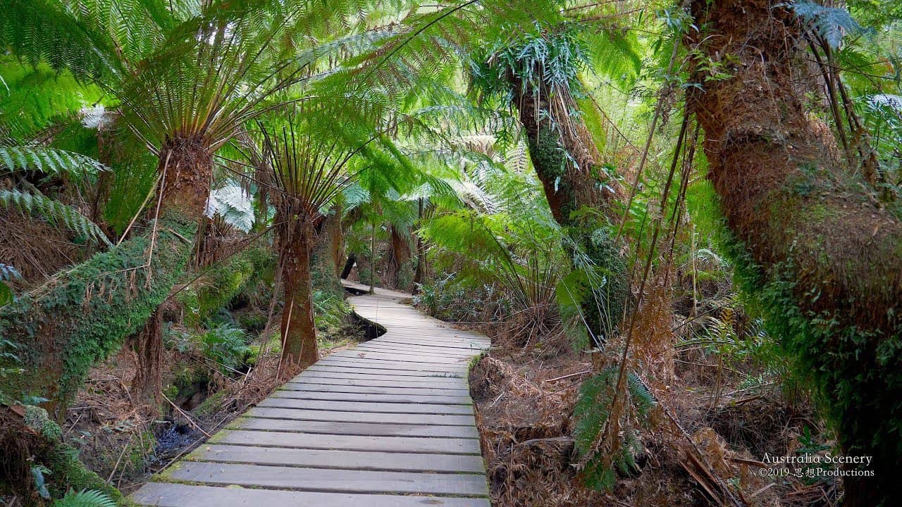 Soothing Nature Sounds