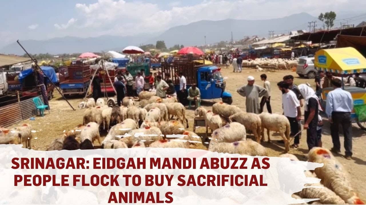 Qurbani Mandi (Seasonal)