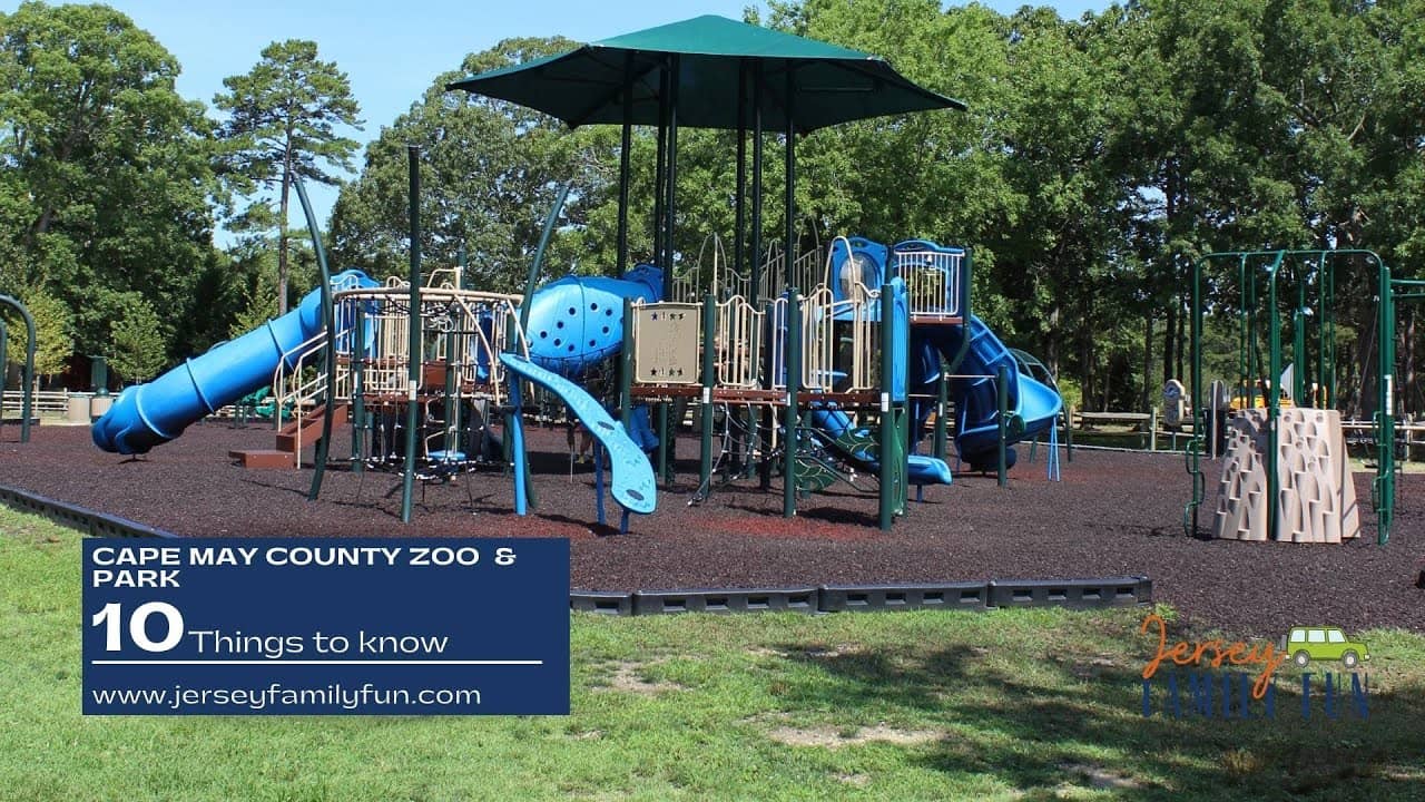 Spacious Playground