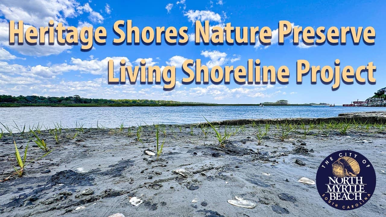 Living Shoreline Project