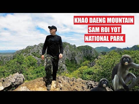 Wildlife Encounters