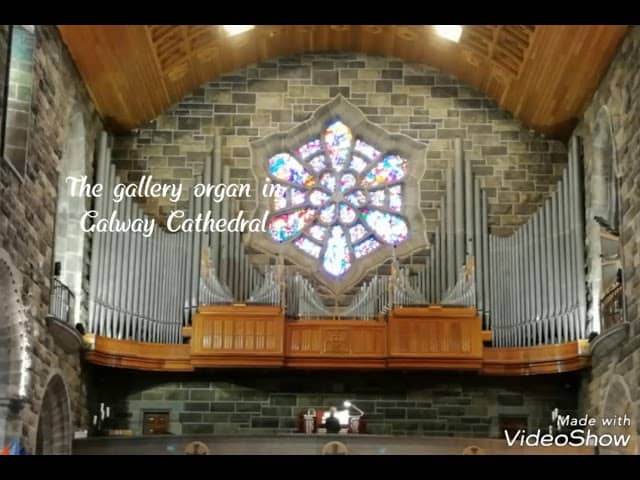 Grand Organ Display