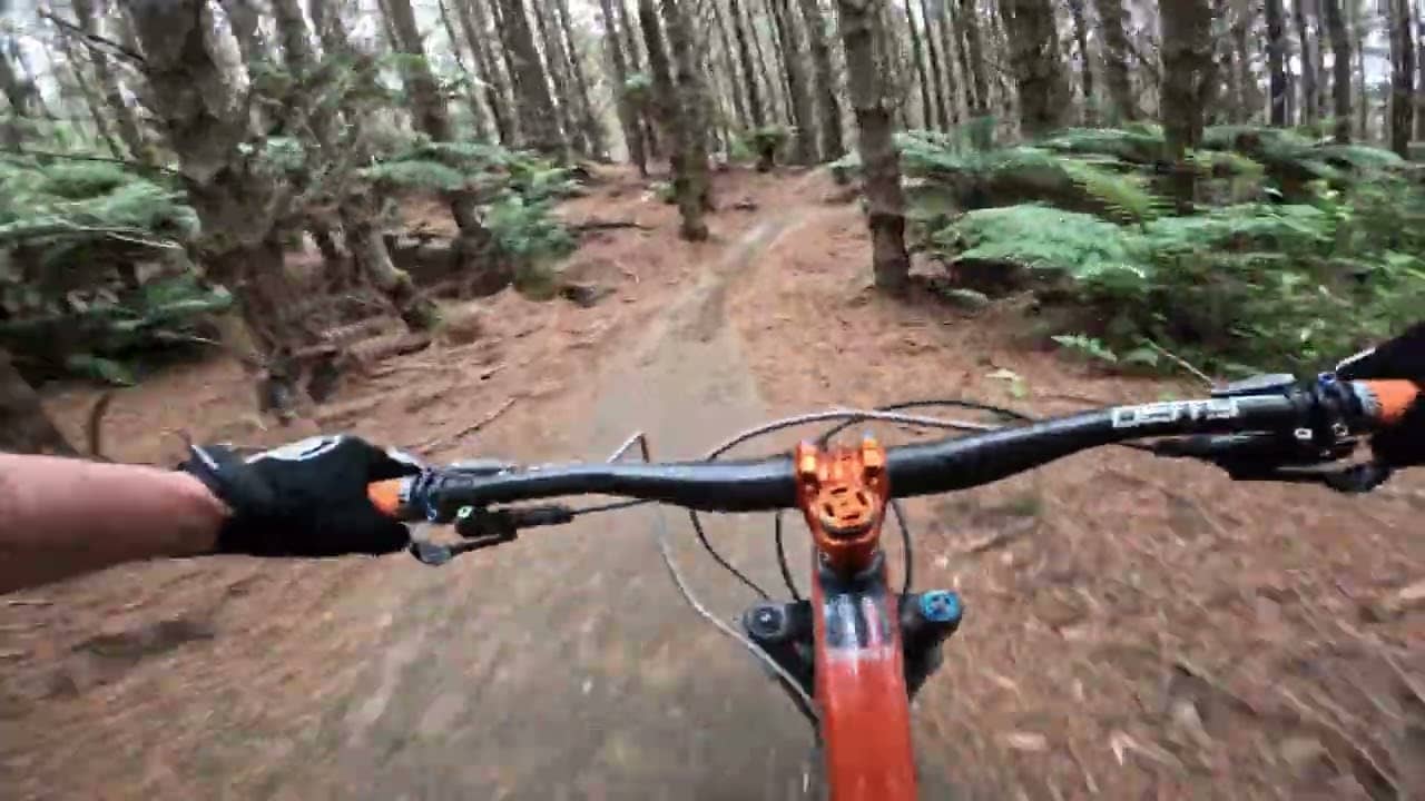 Te Poaka Trail